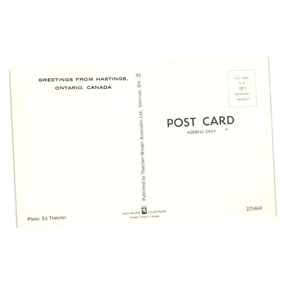 Greetings Hastings Ontario Canada Birch Forest Lake Postcard Thatcher Winger - Picture 2 of 2